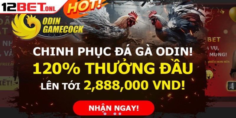 Khuyến Mãi 12BET - Kho Quà Tặng Phong Phú Hàng Ngày 15 Thành viên sở hữu ID chính thức sẽ được tận hưởng vô số ưu đãi